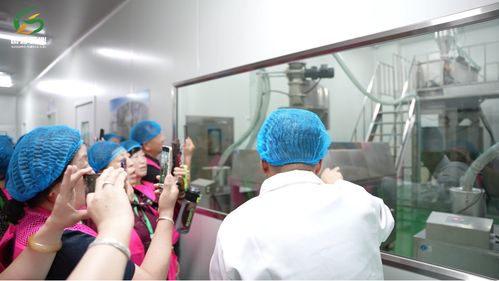 国粮农业黑色杂粮粉 符合标准的合规健康食品